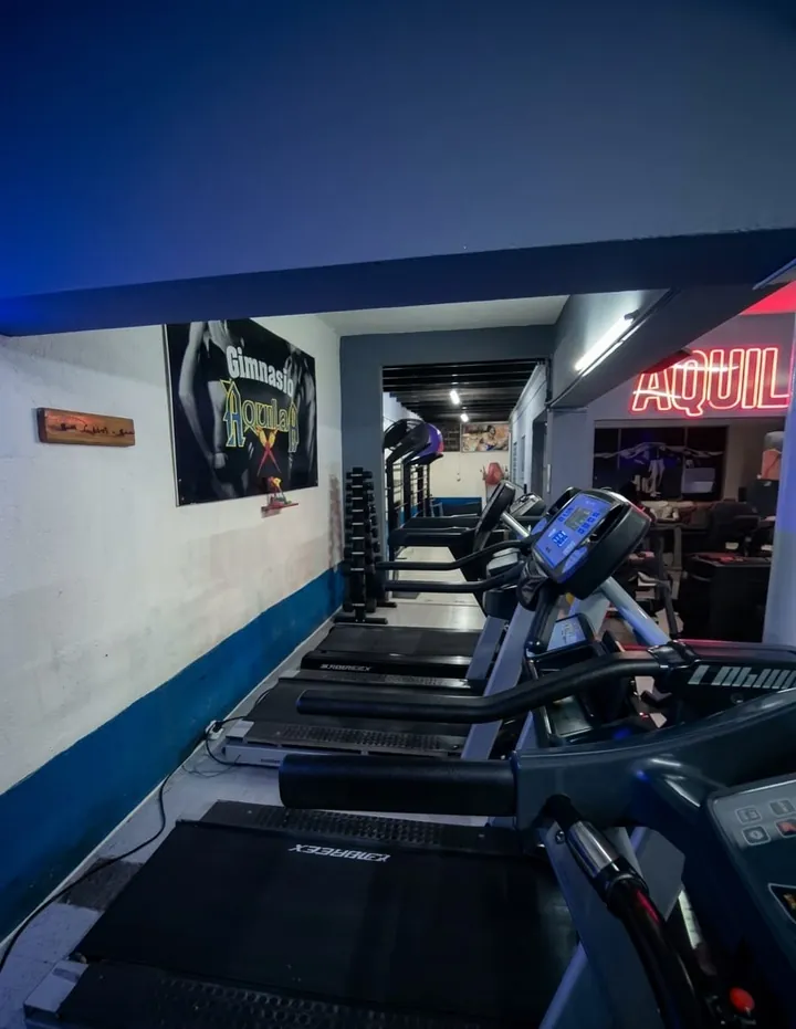 Cintas de correr en la zona de cardio del Gimnasio Aquiles